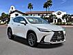 2024 Lexus NX 250 Premium