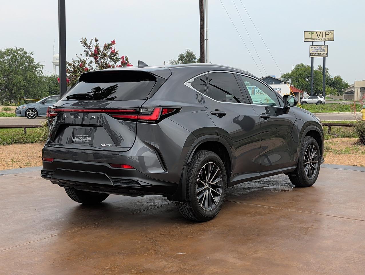 2024 Lexus NX 250 Premium