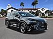 2024 Lexus NX 250 Premium