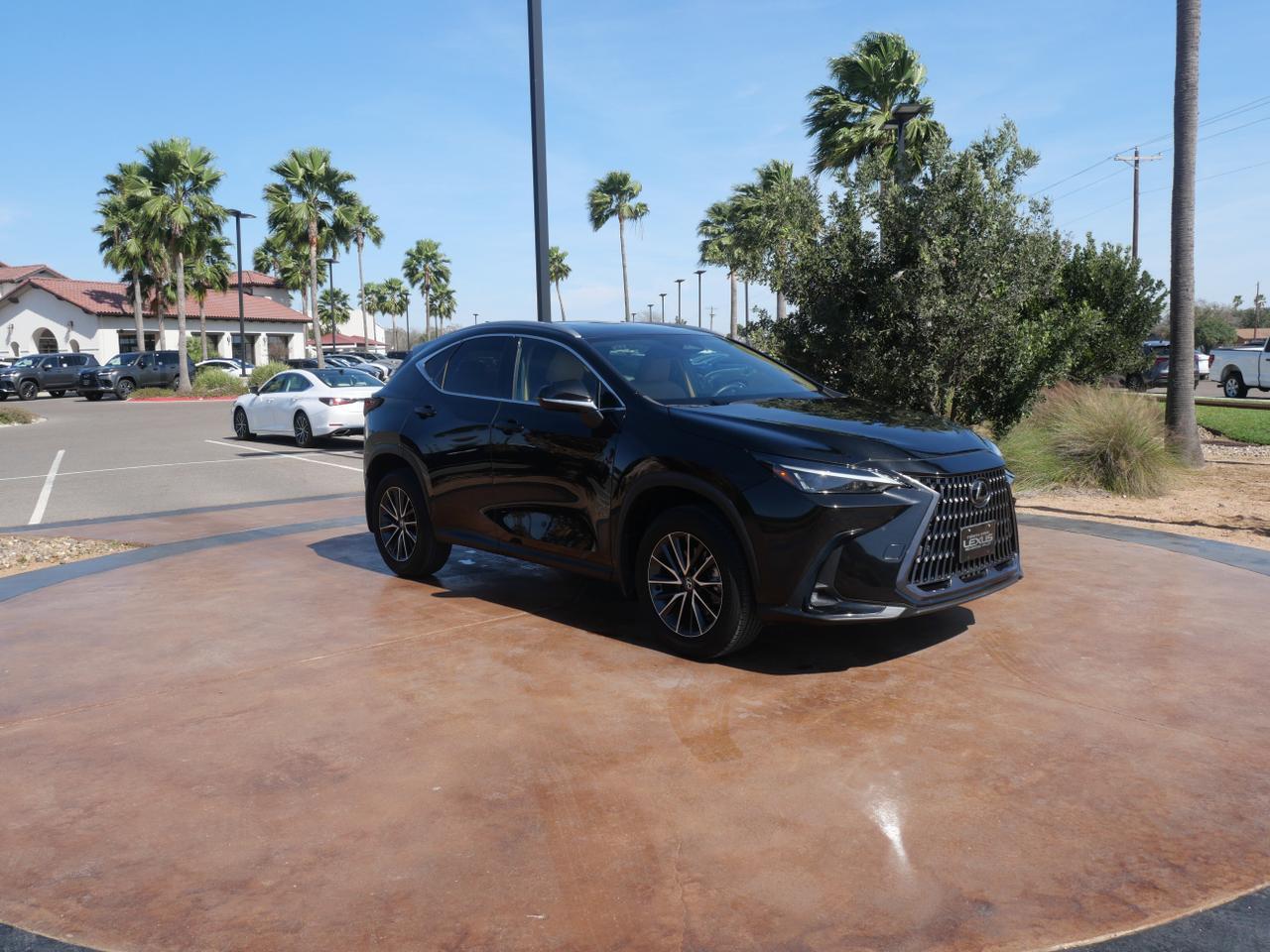 2024 Lexus NX 250 Premium