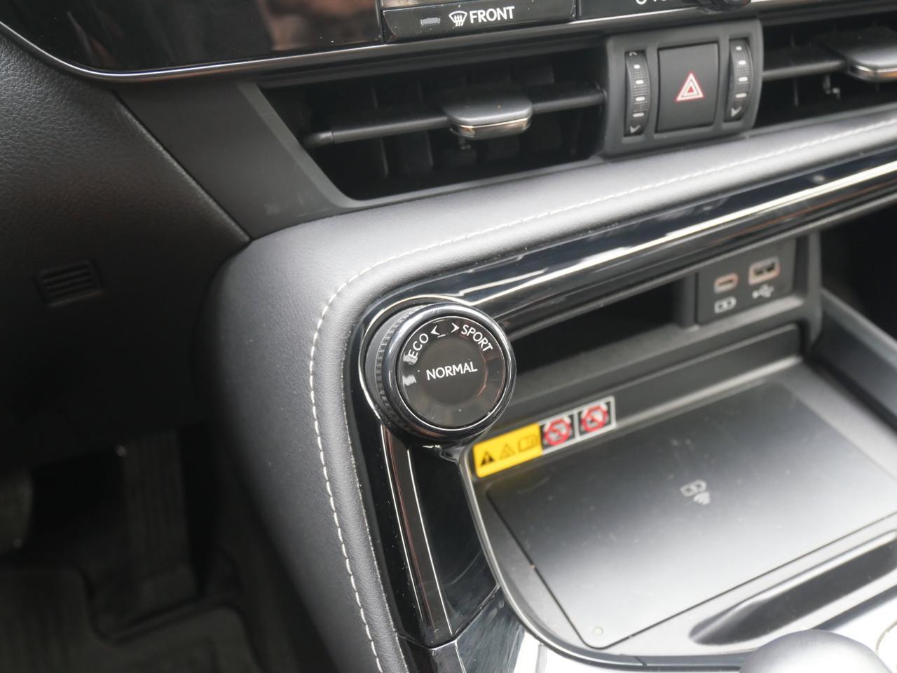 2024 Lexus NX 250 Premium San Juan TX