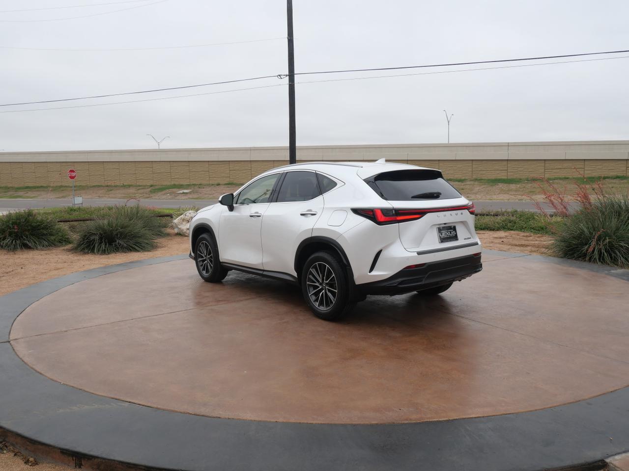 2024 Lexus NX 250 Premium San Juan TX