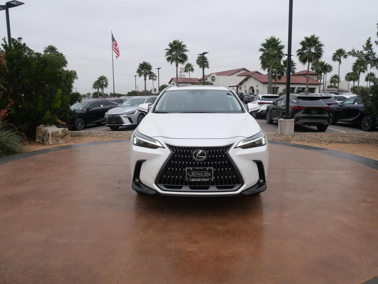2024 Lexus NX 250 Premium San Juan TX