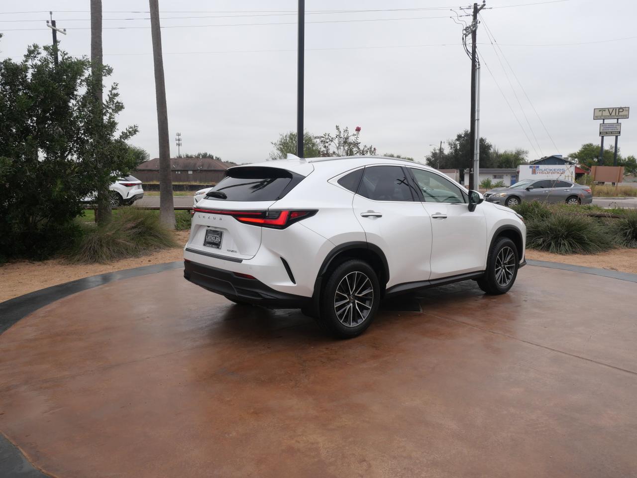 2024 Lexus NX 250 Premium San Juan TX