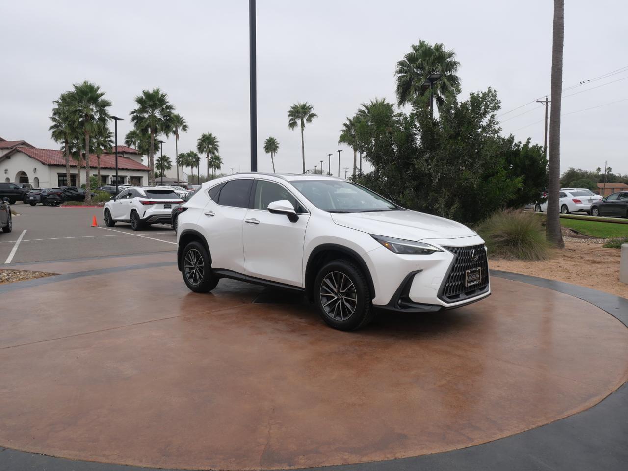 2024 Lexus NX