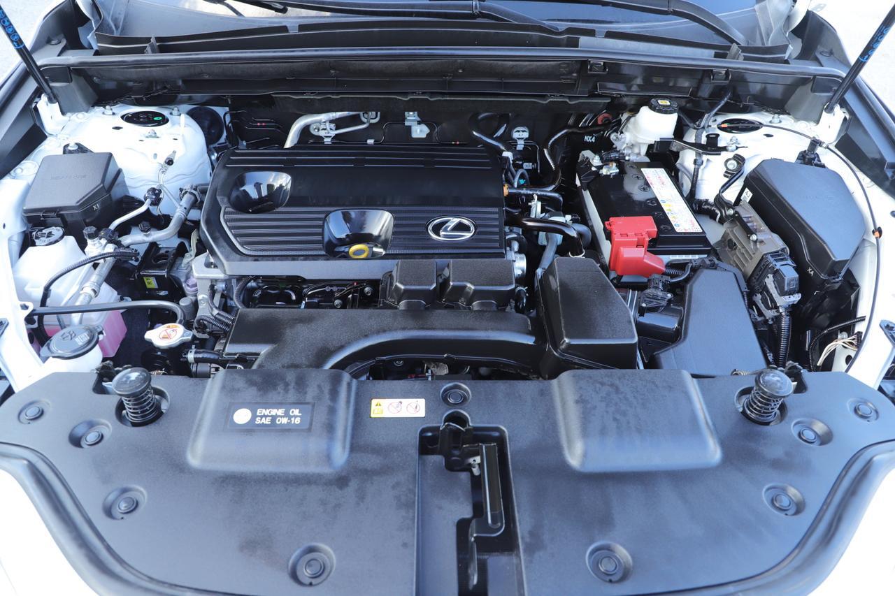 2024 Lexus NX 250 Premium New Braunfels TX