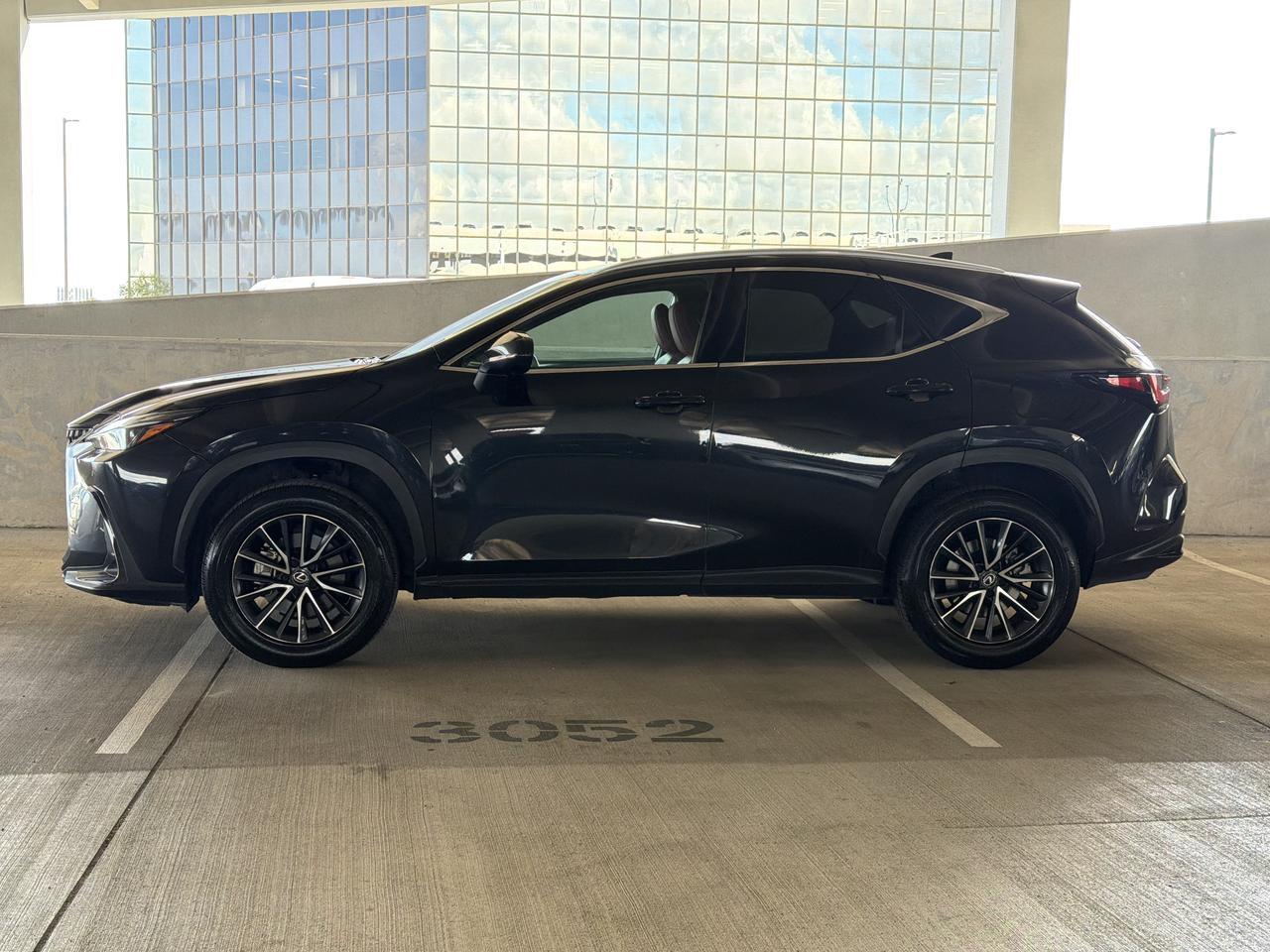 2024 Lexus NX 250 Premium