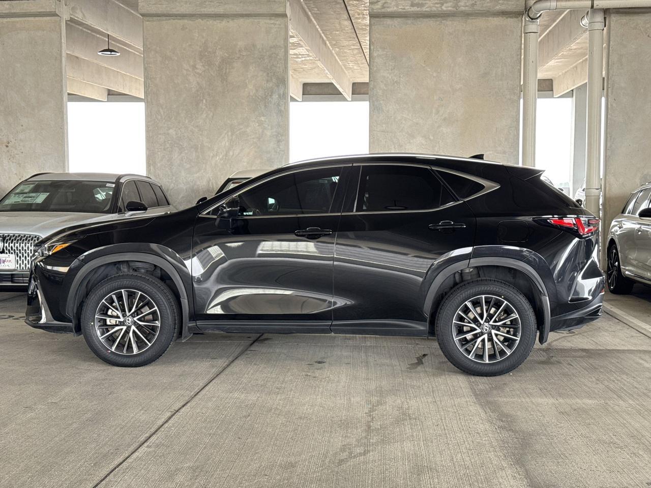 2024 Lexus NX