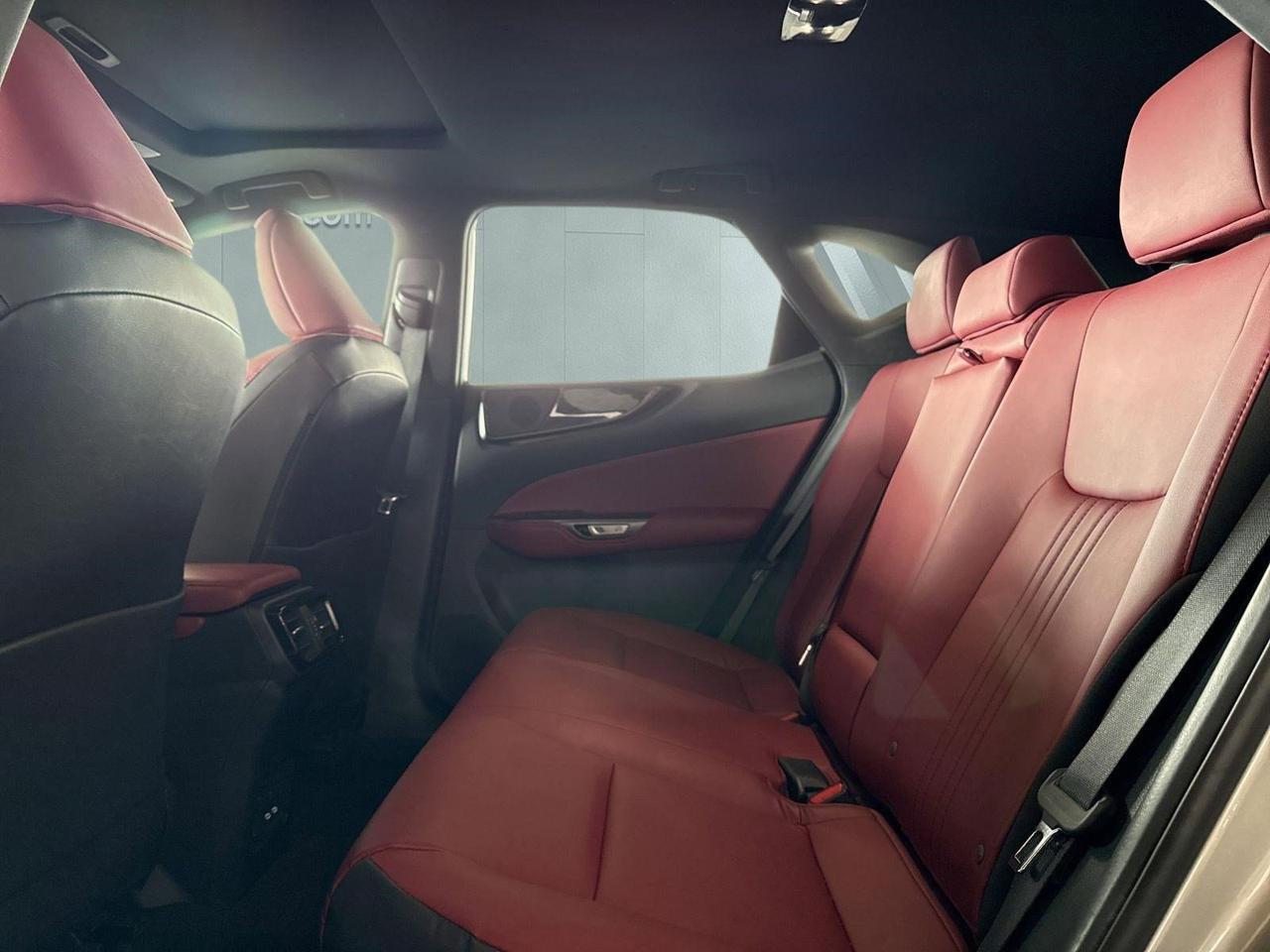 2024 Lexus NX 250 Premium San Antonio TX