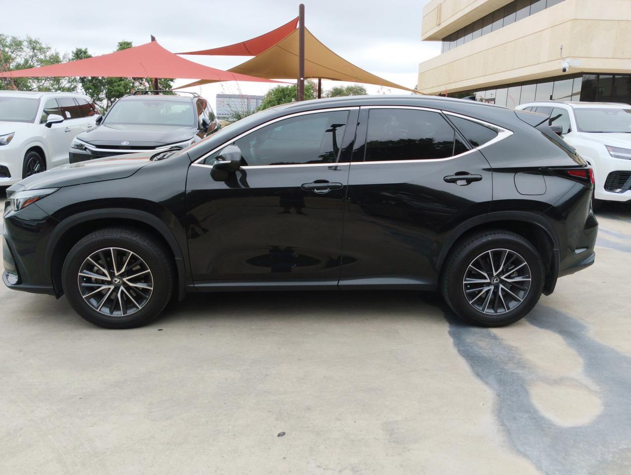 2024 Lexus NX 250 Premium