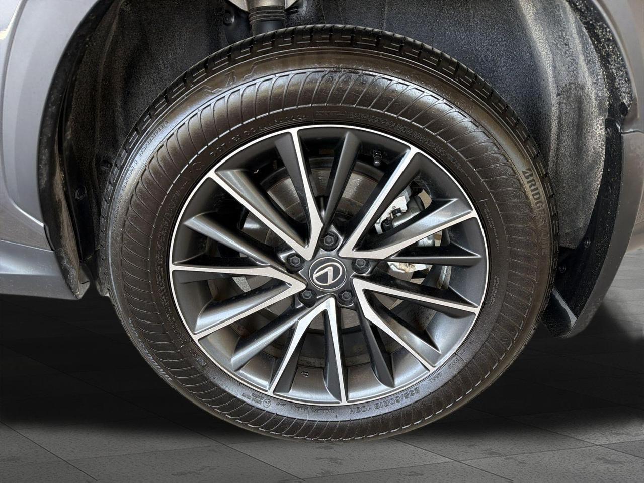 2024 Lexus NX 250 Premium San Antonio TX