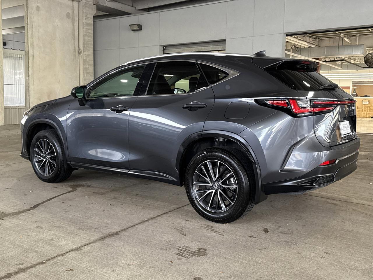 2024 Lexus NX 250 Premium