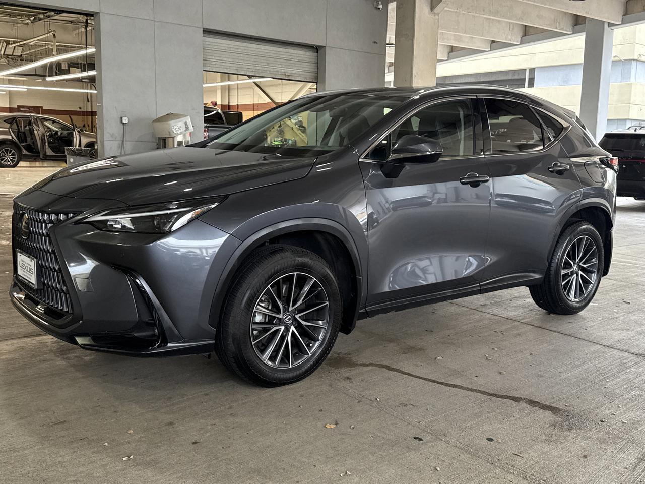 2024 Lexus NX 250 Premium