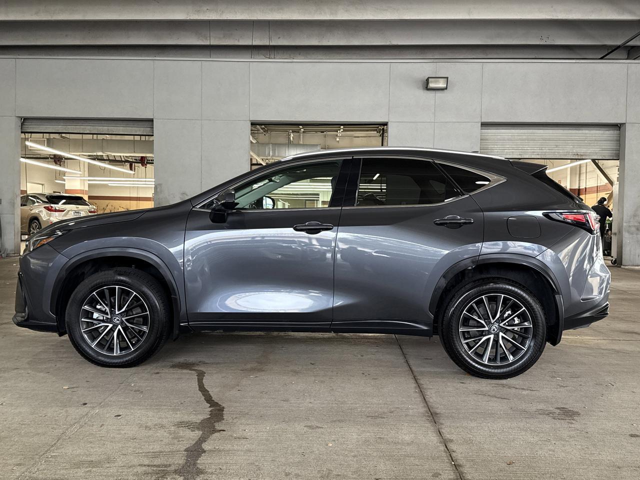 2024 Lexus NX