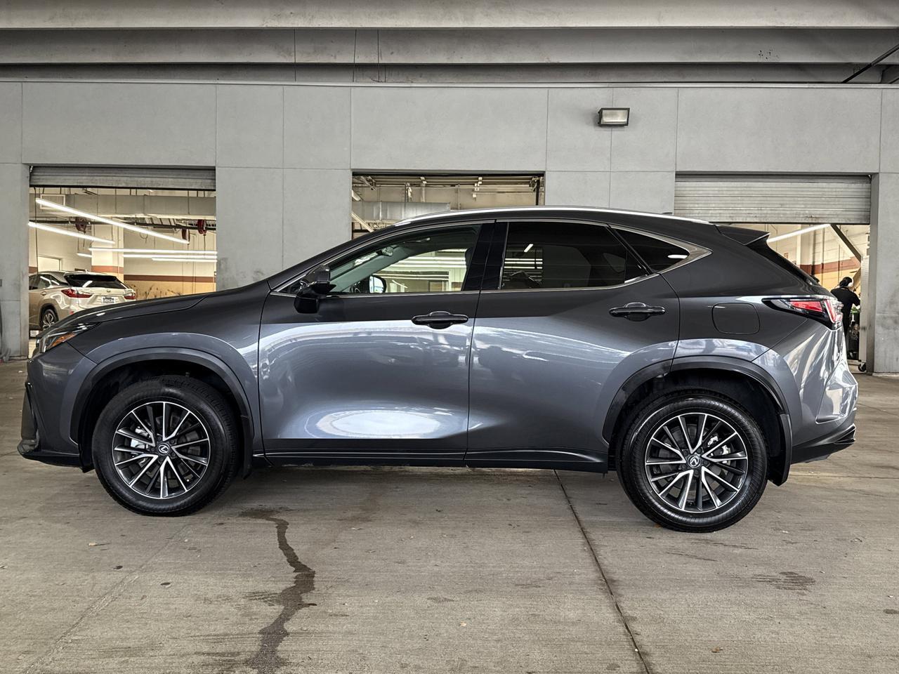 2024 Lexus NX
