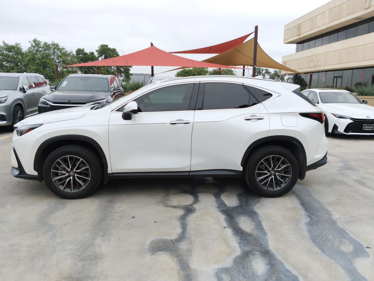2024 Lexus NX 250 Premium