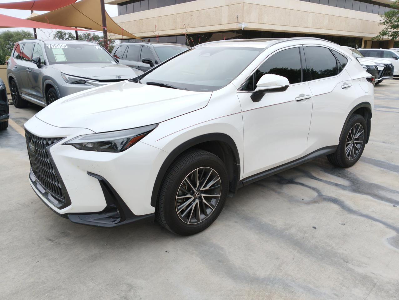 2024 Lexus NX 250 Premium