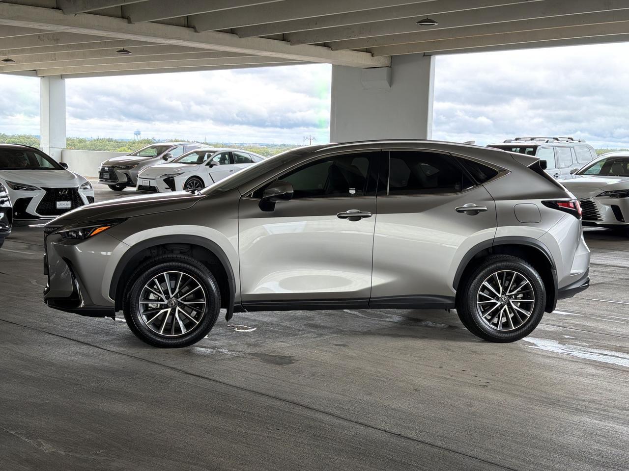 2024 Lexus NX 250 Premium