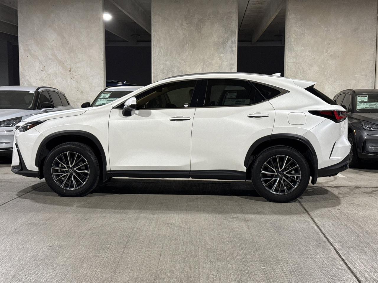 2024 Lexus NX