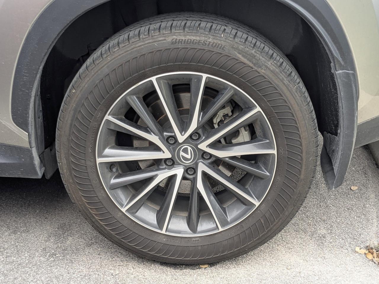 2024 Lexus NX 250 San Antonio TX