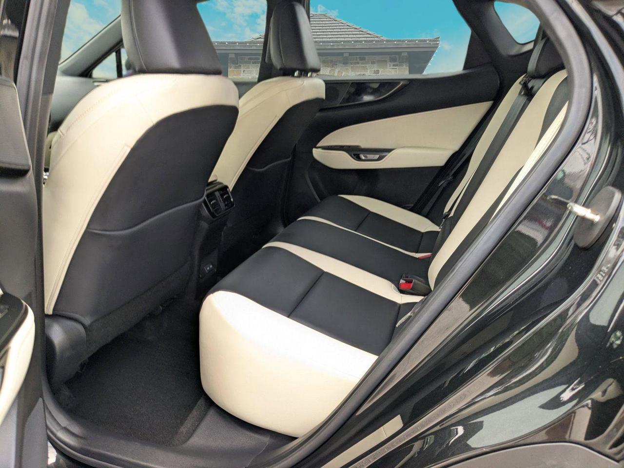 2024 Lexus NX 250 San Antonio TX