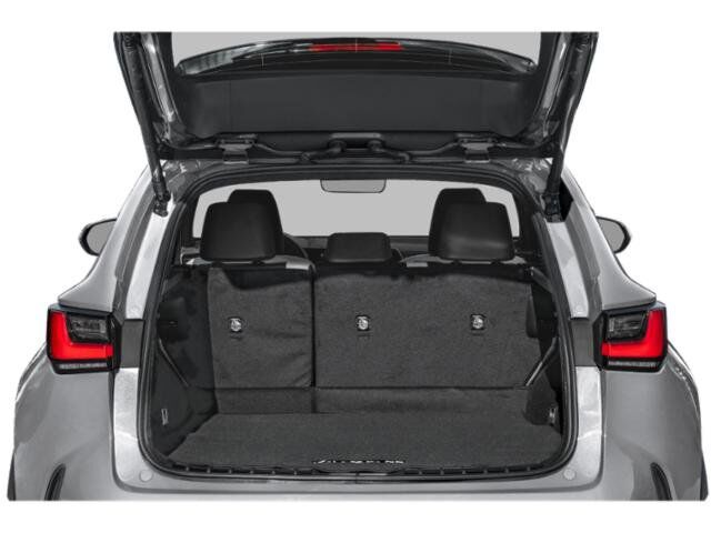 2024 Lexus NX 250 San Juan TX