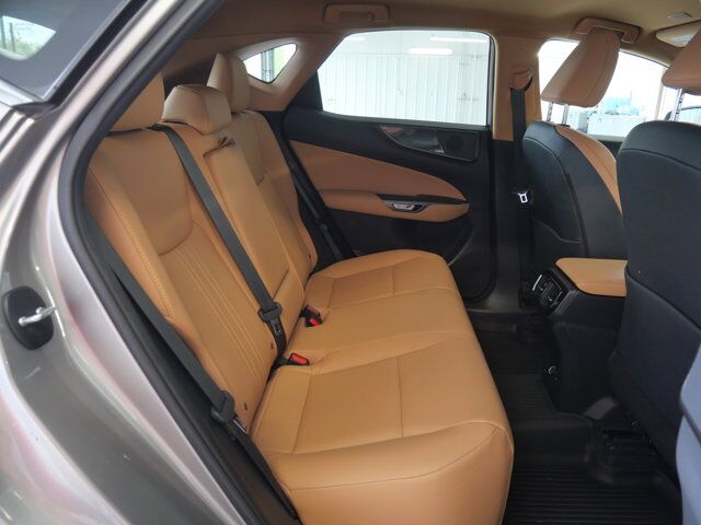 2024 Lexus NX 250 San Juan TX