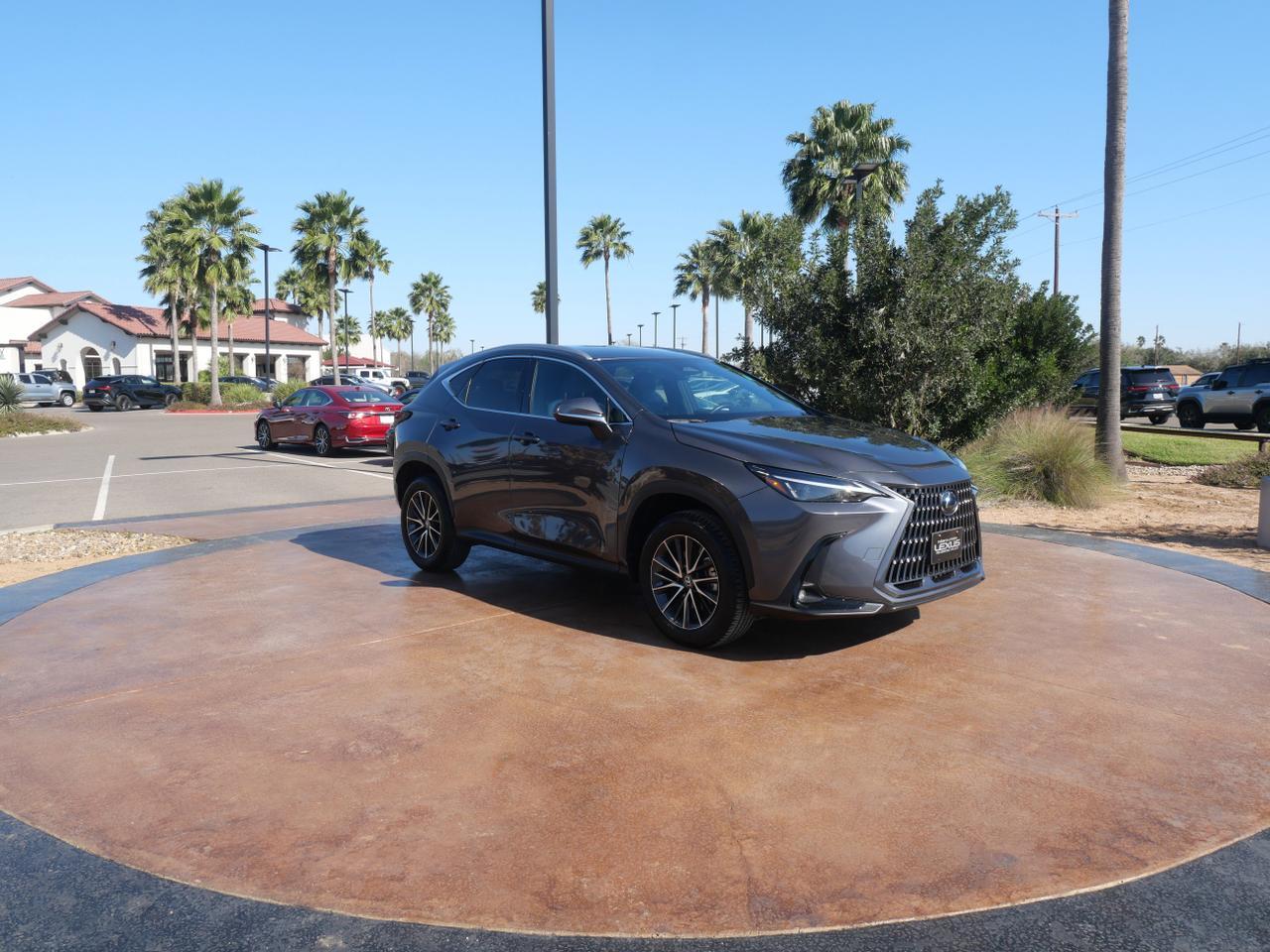 2024 Lexus NX