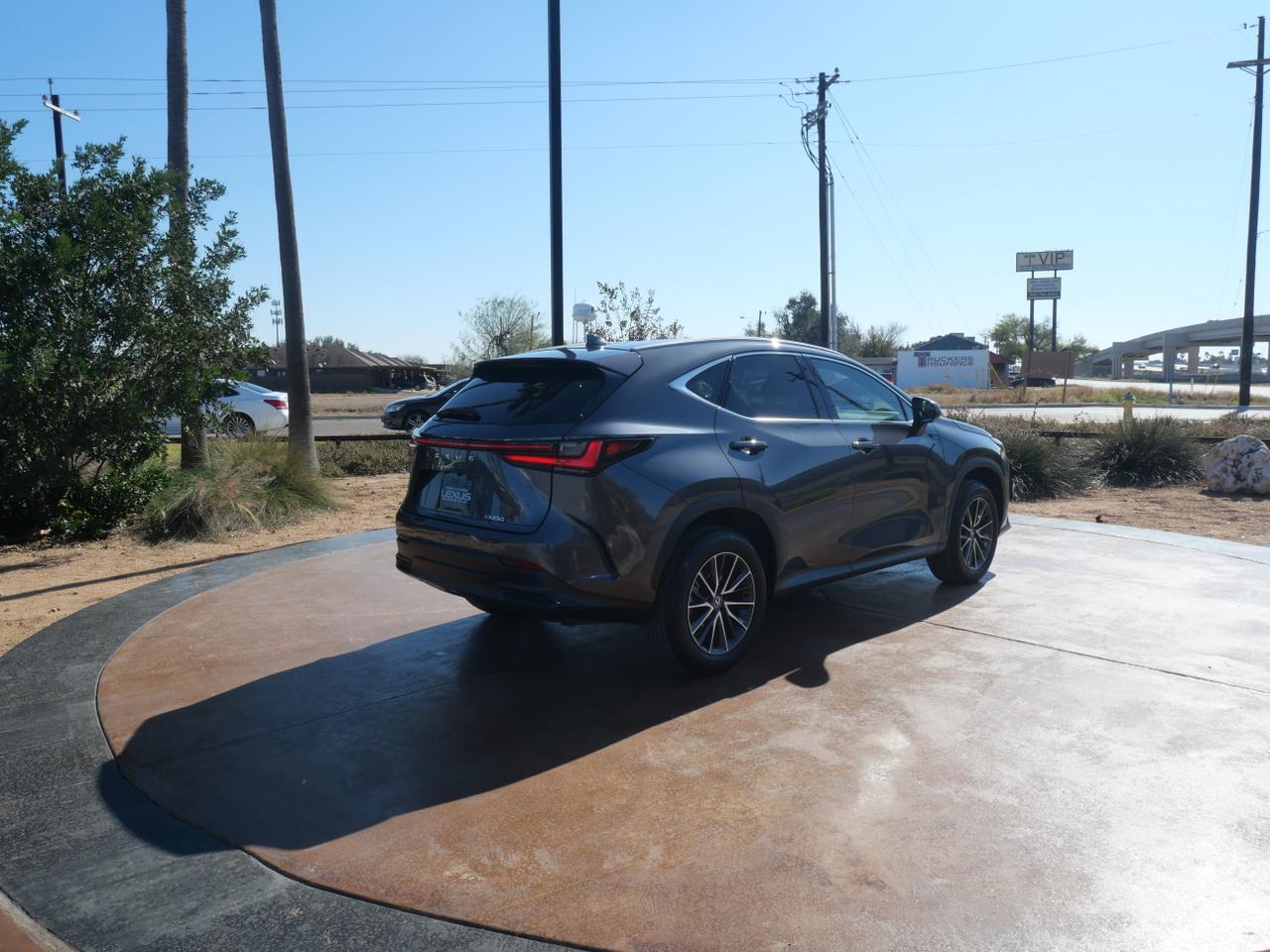 2024 Lexus NX 250