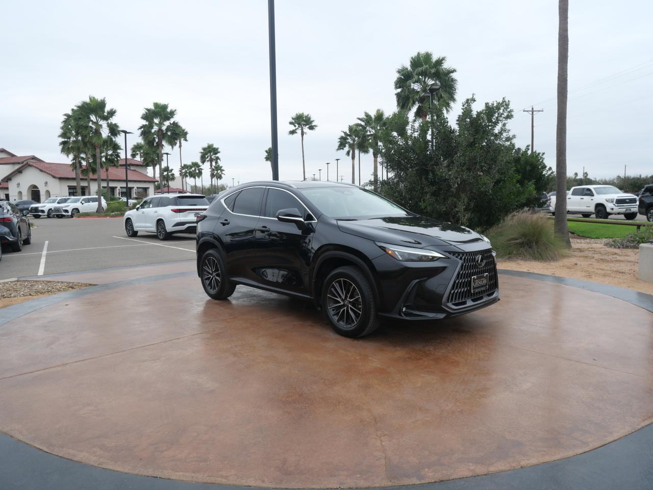 2024 Lexus NX 250