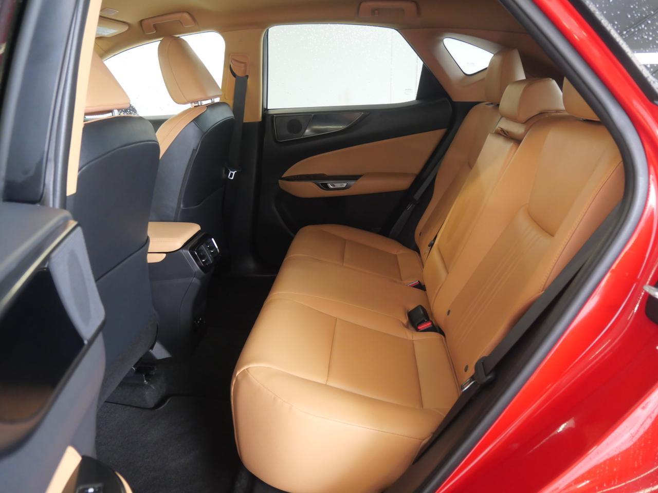 2024 Lexus NX 250 San Juan TX