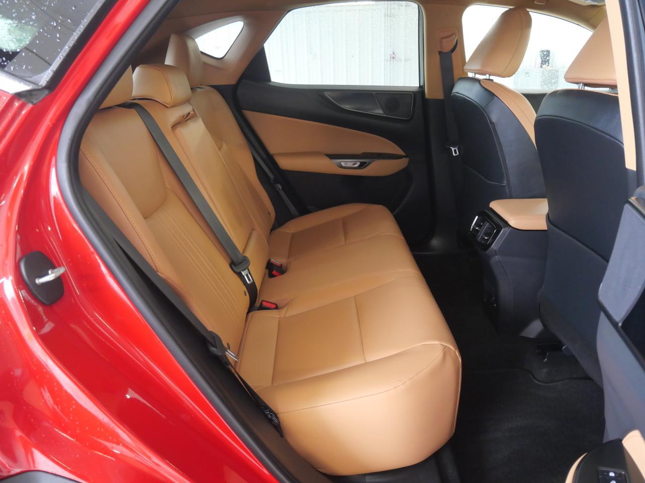 2024 Lexus NX 250 San Juan TX
