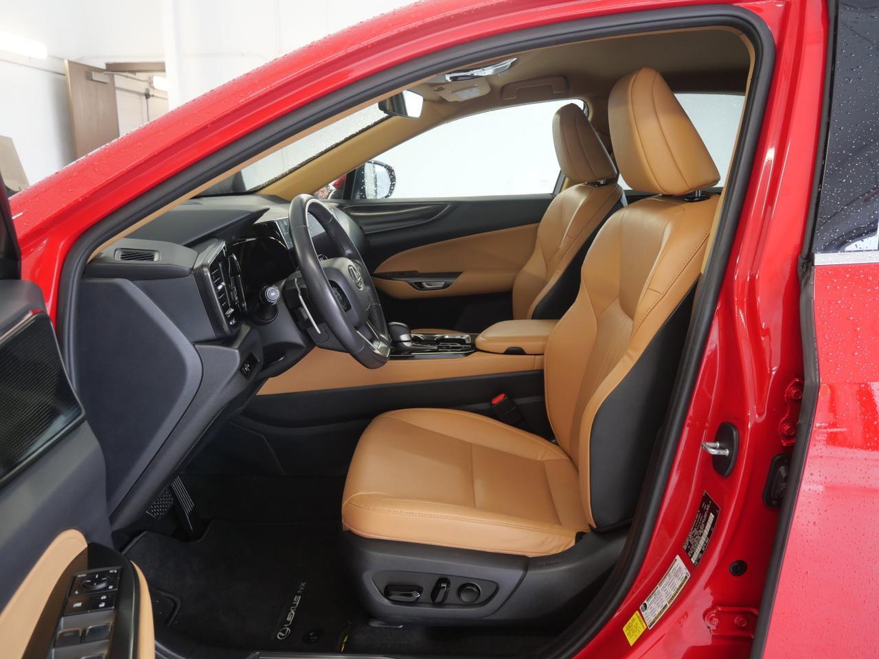 2024 Lexus NX 250 San Juan TX