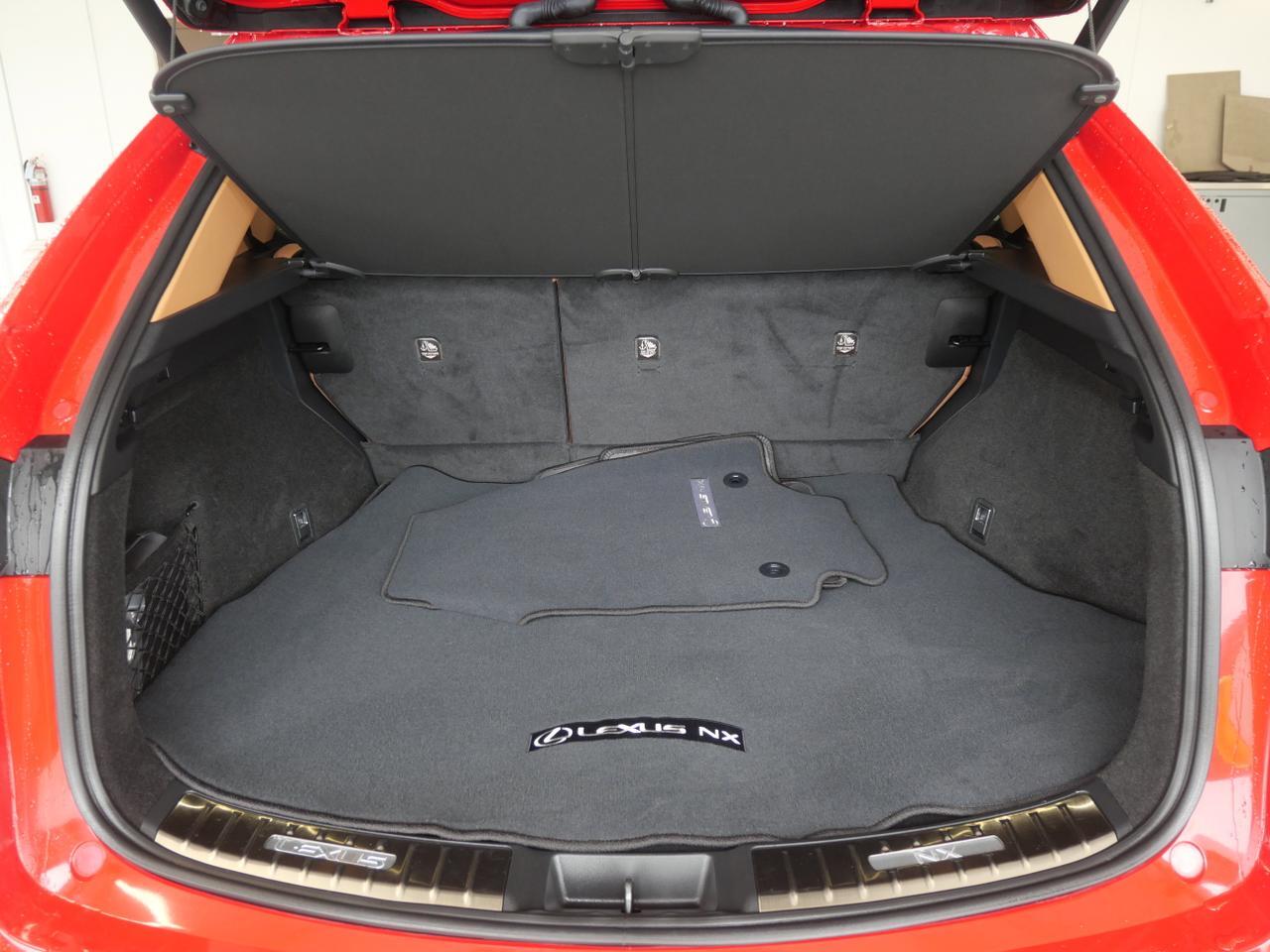 2024 Lexus NX 250 San Juan TX