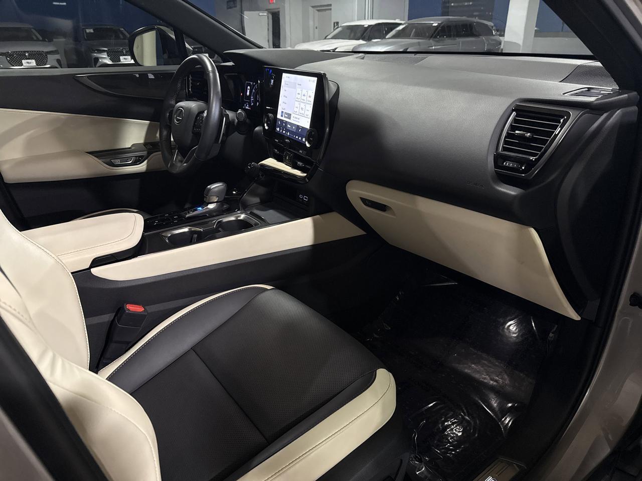 2024 Lexus NX 250 San Antonio TX