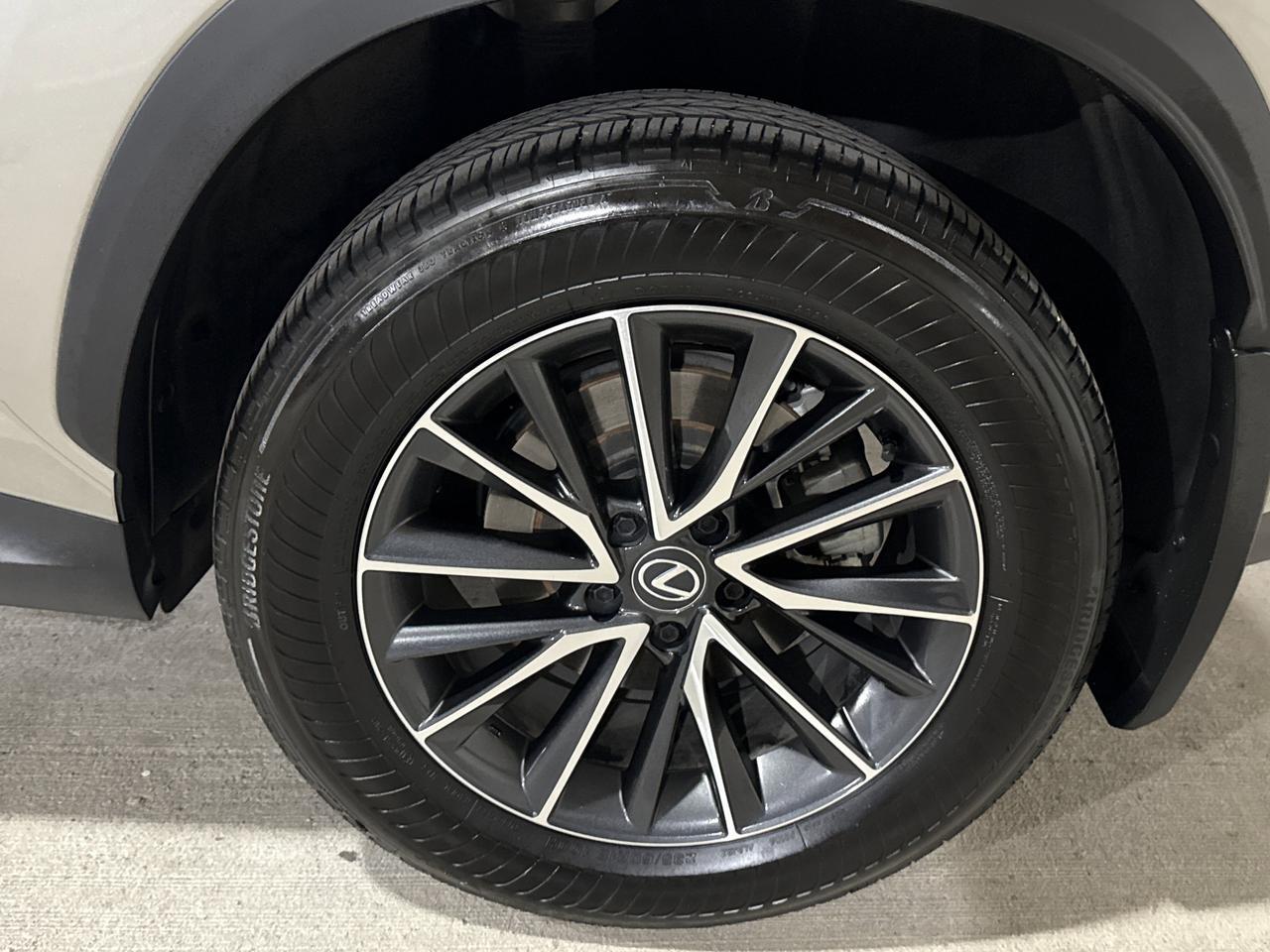 2024 Lexus NX 250 San Antonio TX