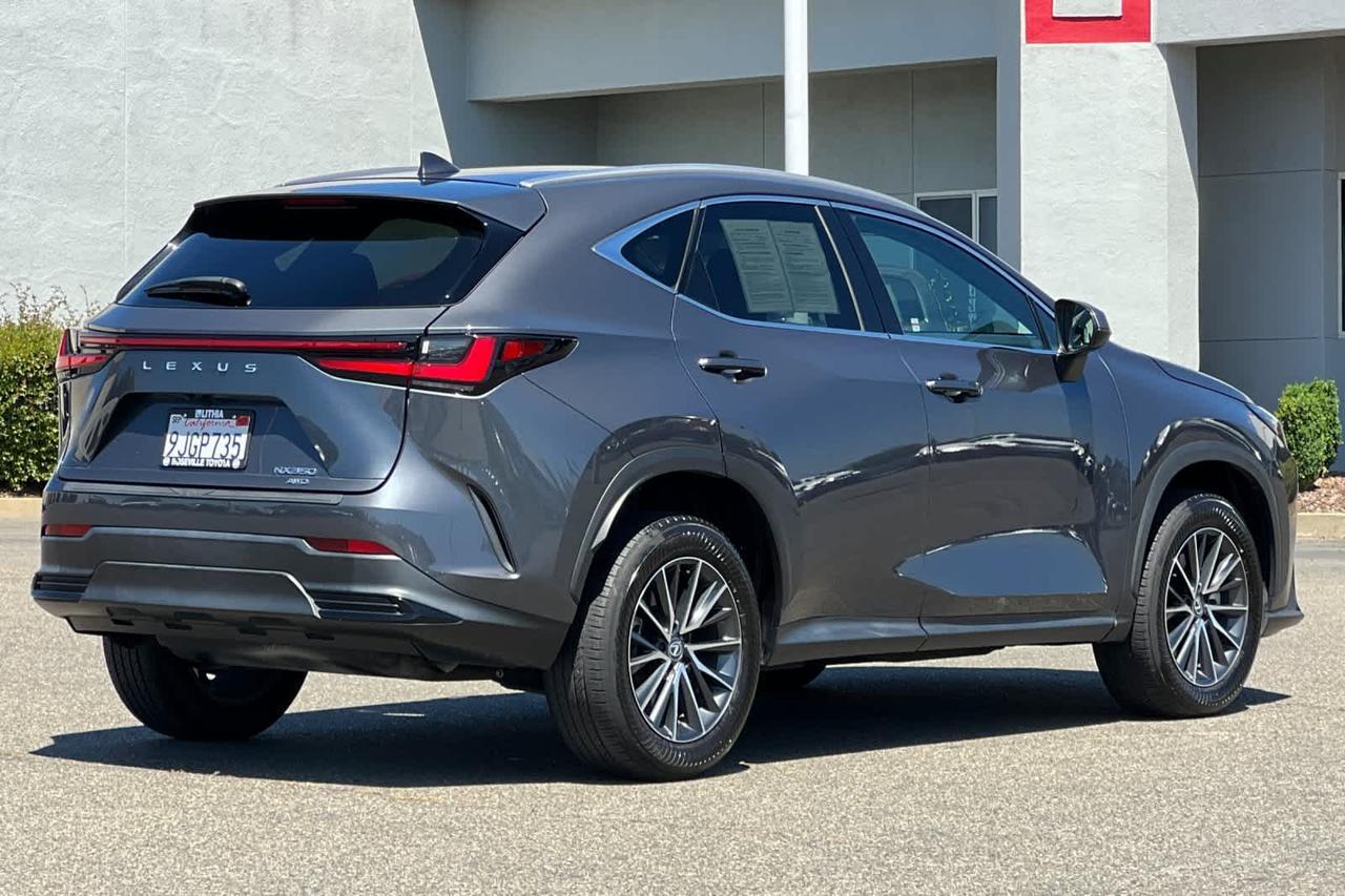 2024 Lexus NX 350