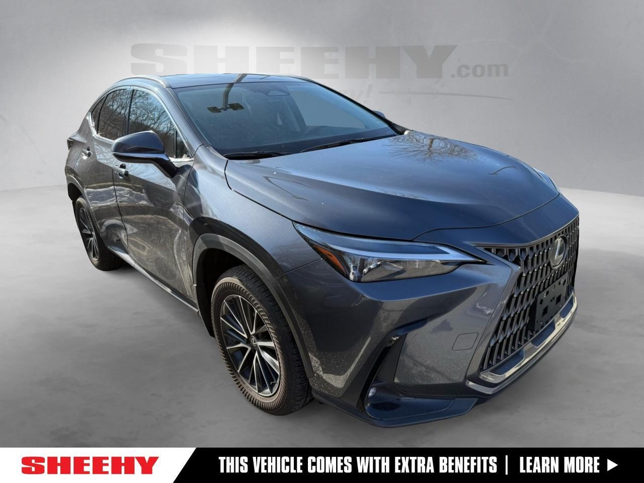 2024 Lexus NX 350 Base