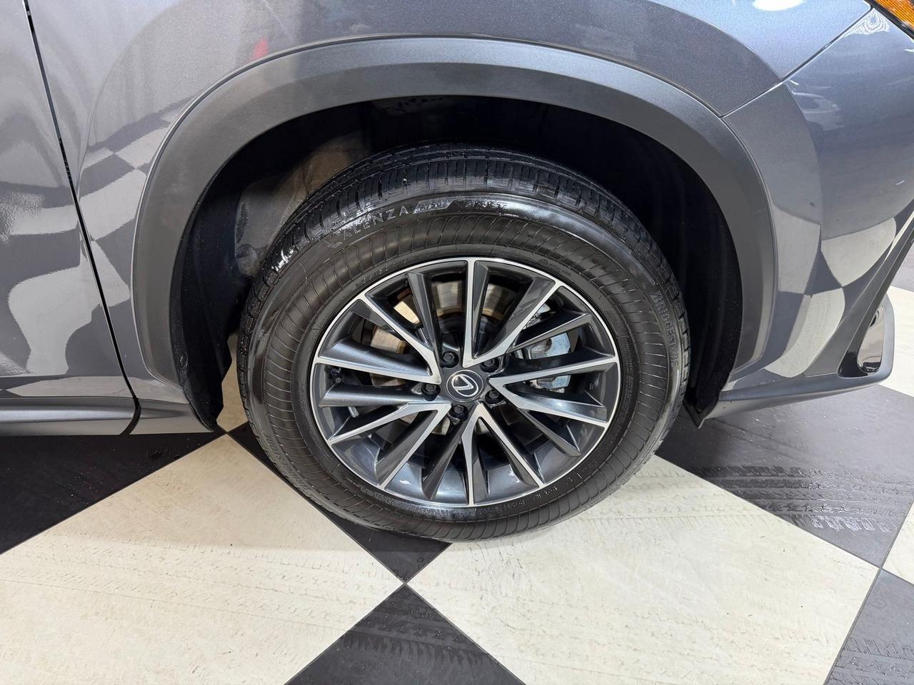 2024 Lexus NX 350 Base Annapolis MD