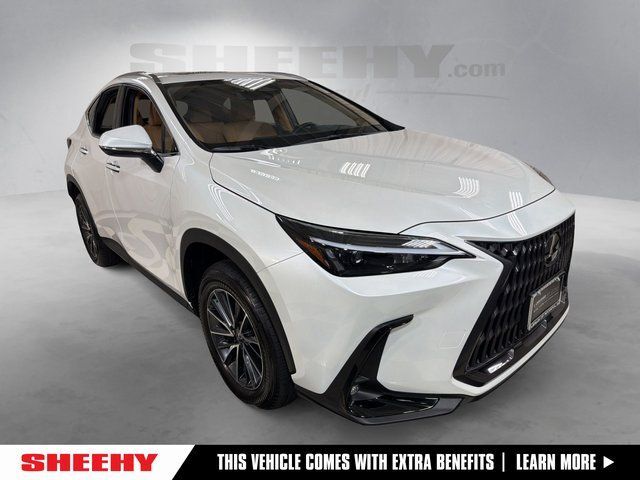 2024 Lexus NX 350 Base