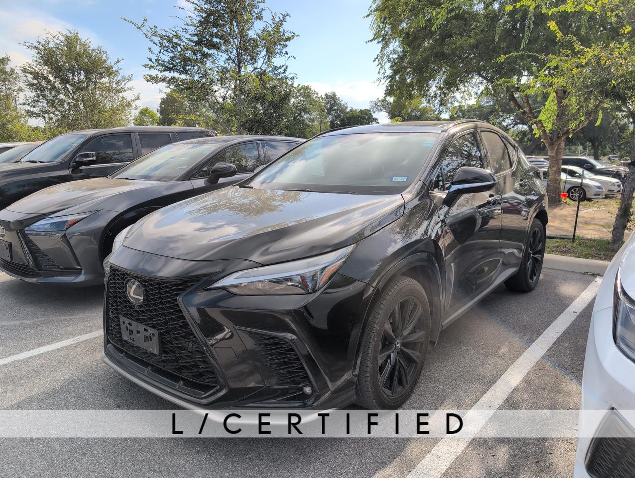 2024 Lexus NX