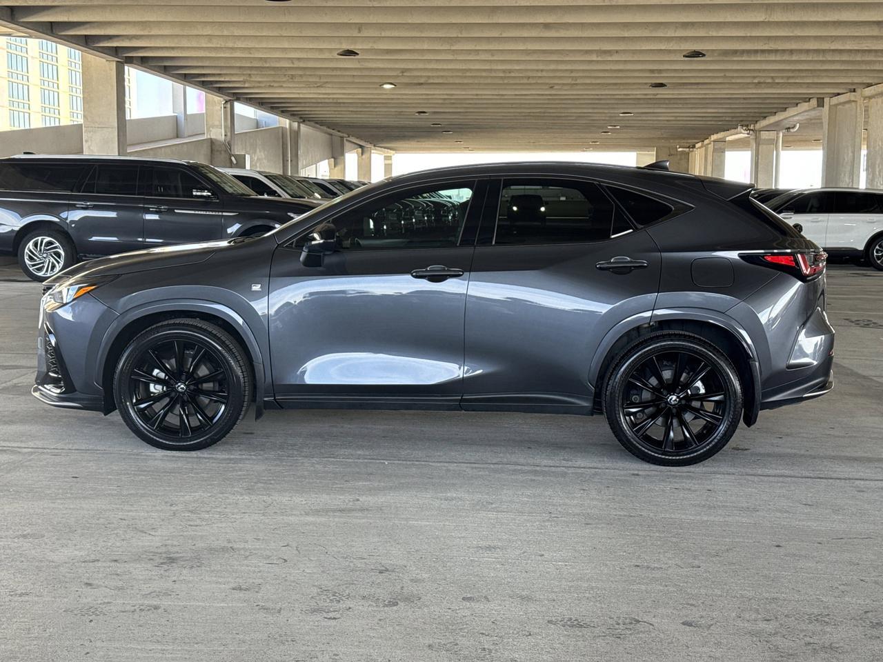 2024 Lexus NX