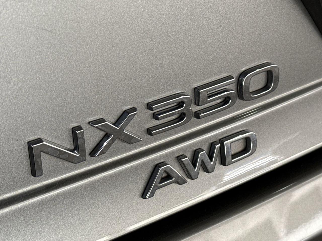 2024 Lexus NX 350 F SPORT Handling San Antonio TX