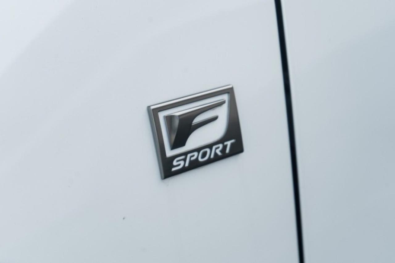 2024 Lexus NX 350 F SPORT Handling Yonkers NY