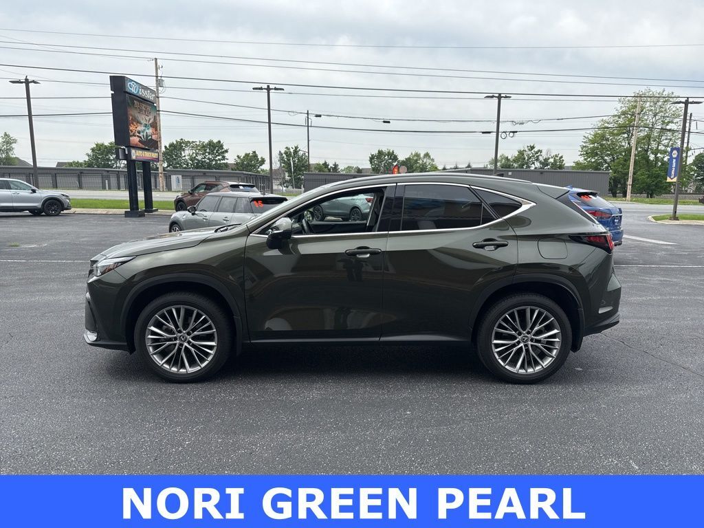 2024 Lexus NX 350 Luxury
