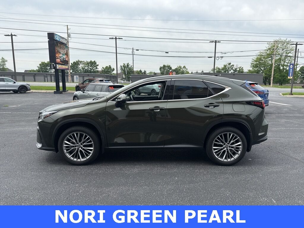 2024 Lexus NX 350 Luxury