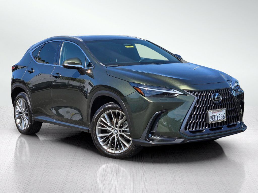 2024 Lexus NX 350 Luxury