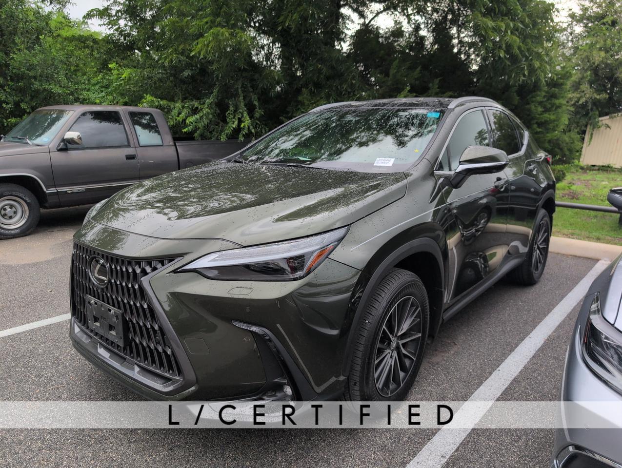 2024 Lexus NX