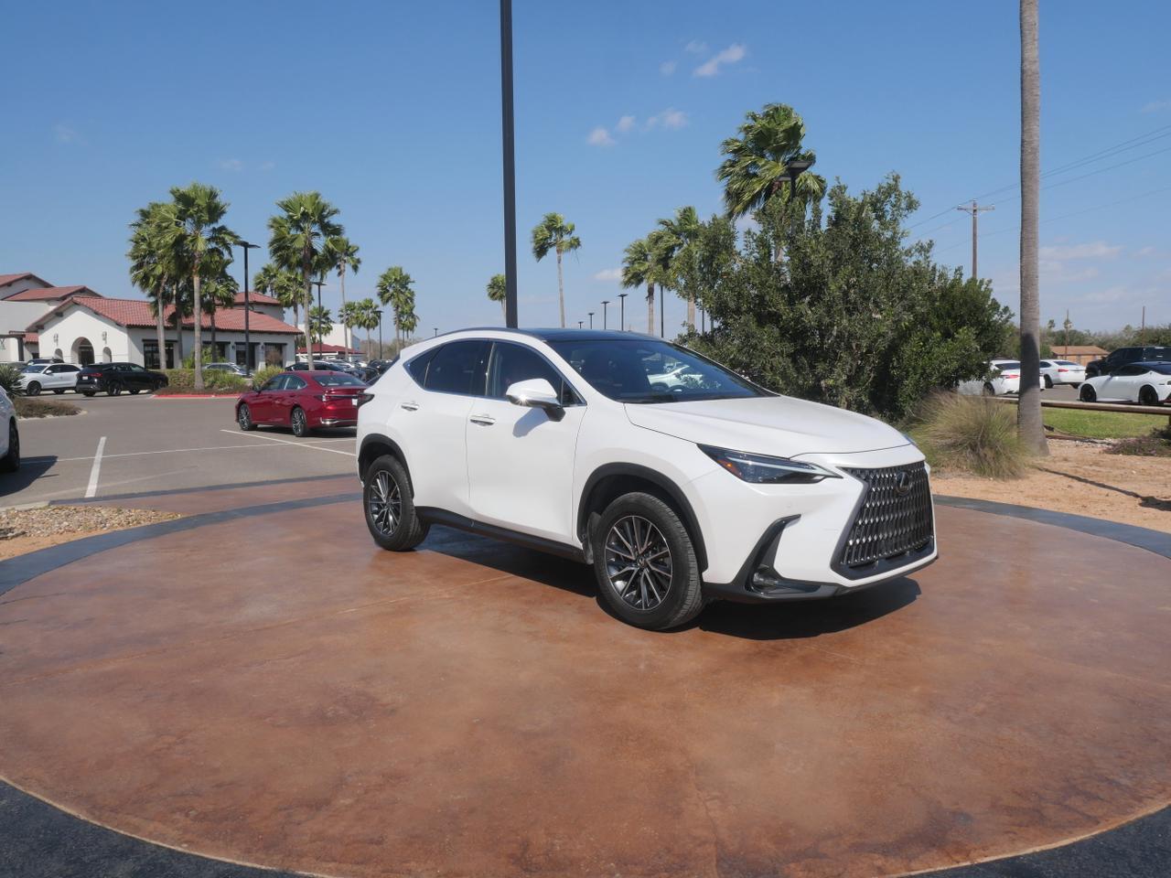 2024 Lexus NX