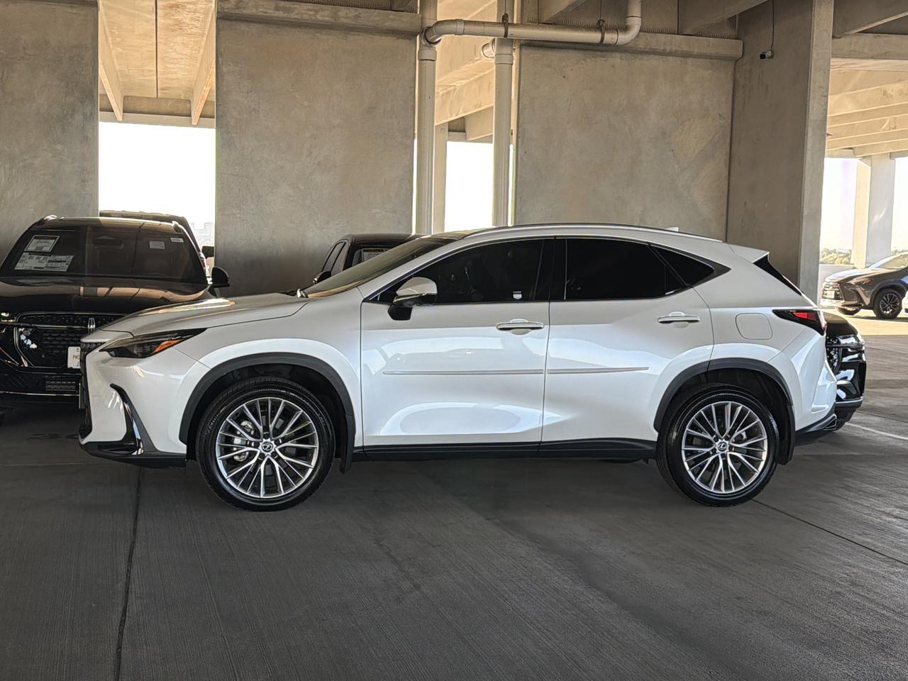 2024 Lexus NX